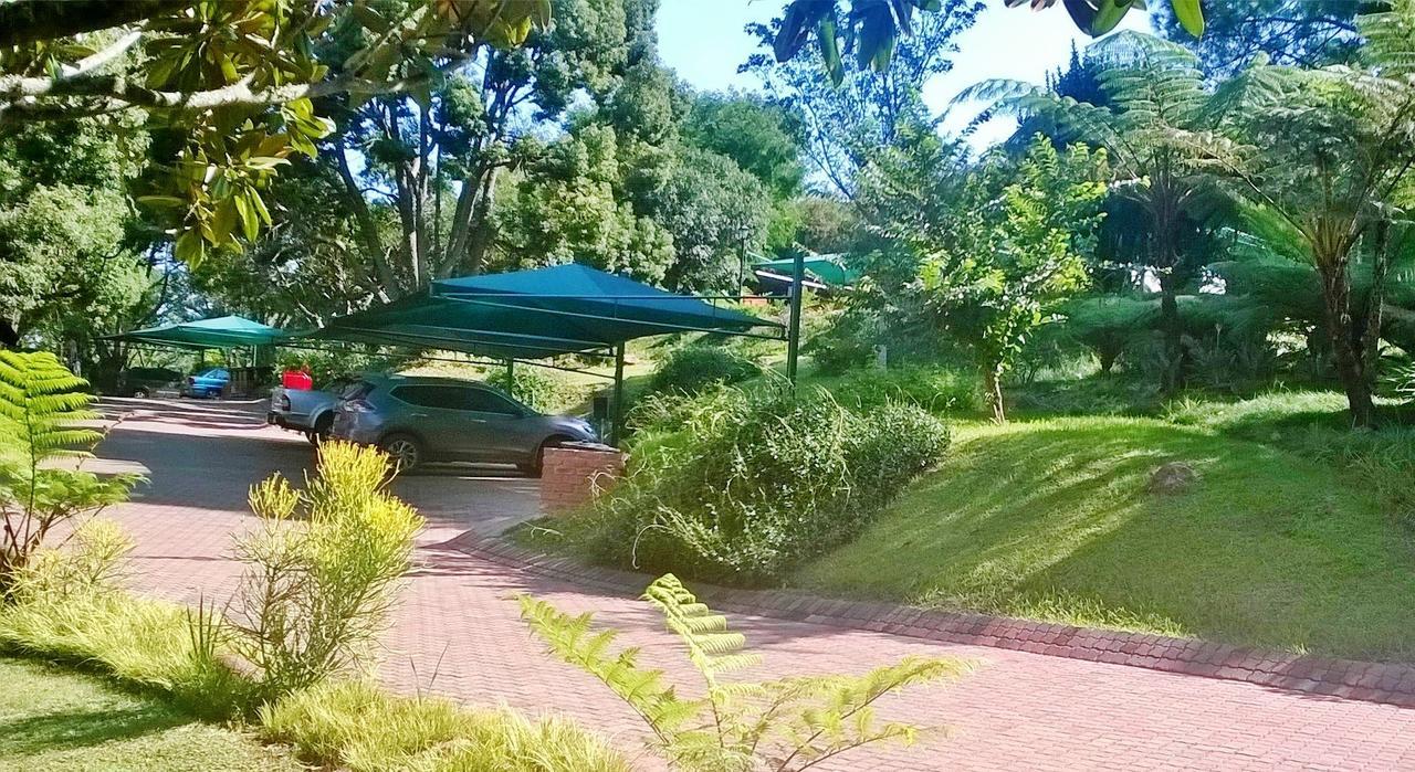 Pine Lake Resort ホワイトリバー エクステリア 写真