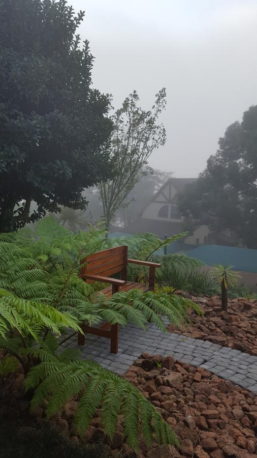 Pine Lake Resort ホワイトリバー エクステリア 写真